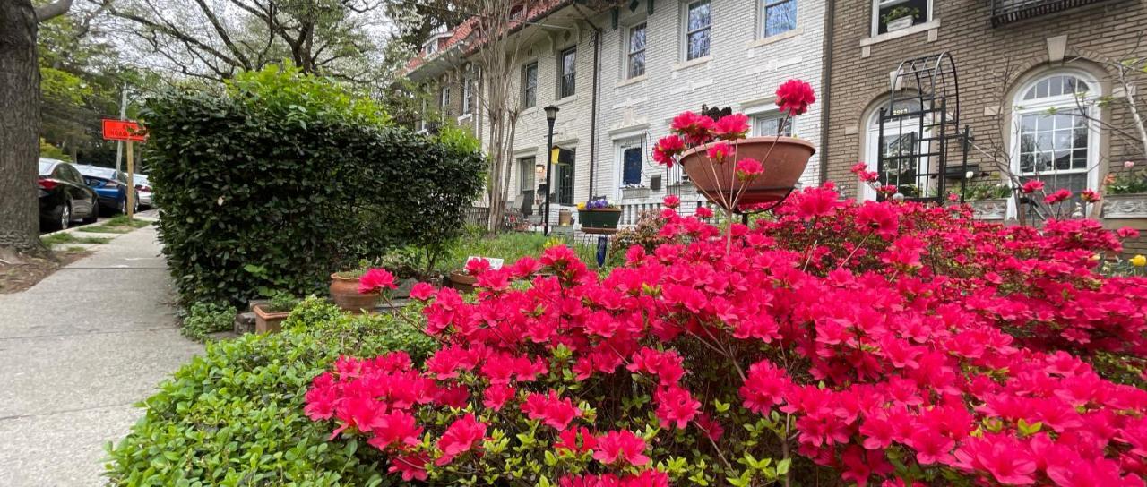 Wayside Inn Bed And Breakfast Ellicott City Esterno foto